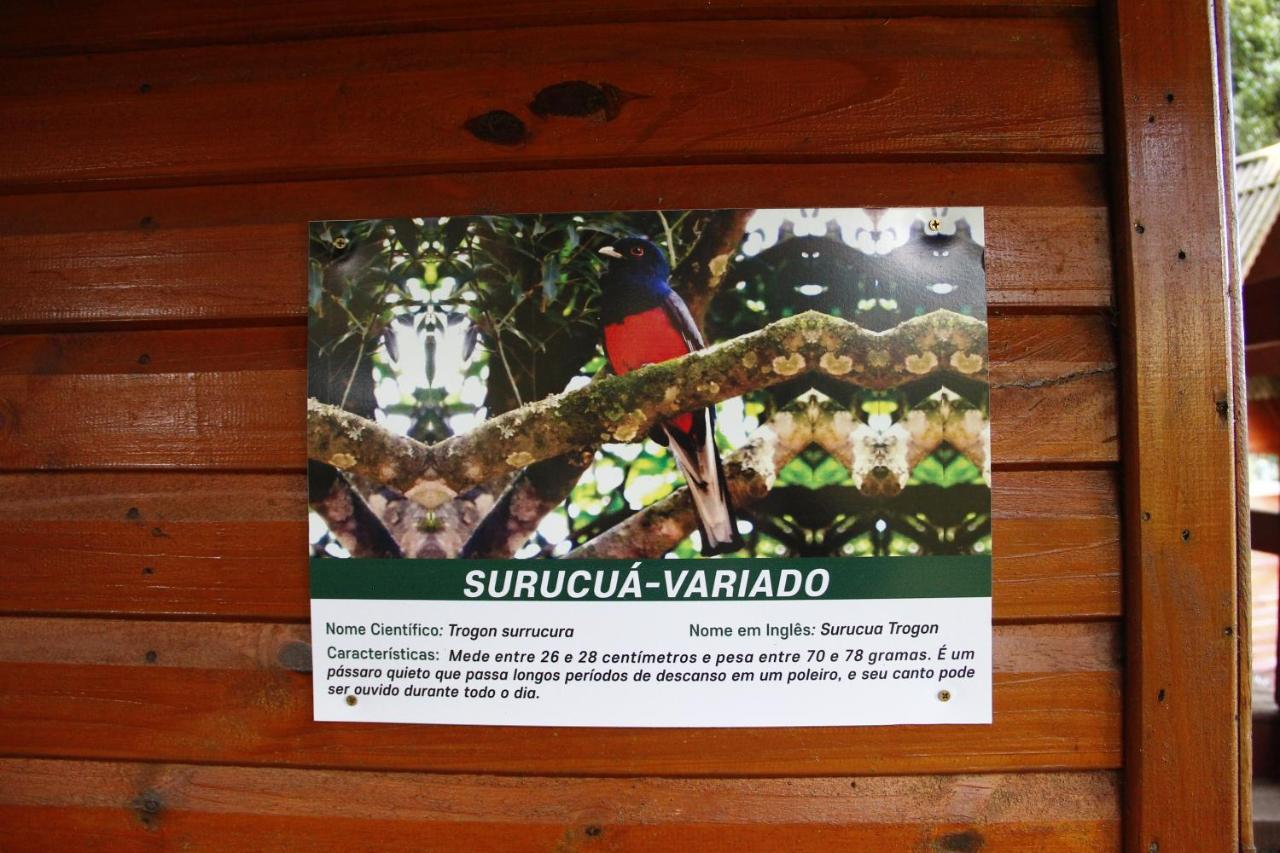 Recanto Da Mata Pousada Сан-Франсіску-ді-Паула Екстер'єр фото