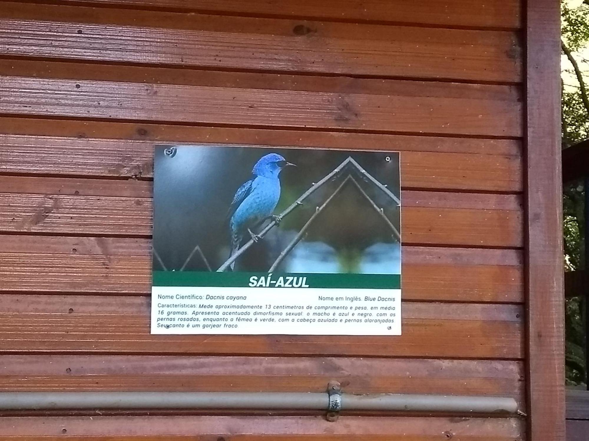 Recanto Da Mata Pousada Сан-Франсіску-ді-Паула Екстер'єр фото
